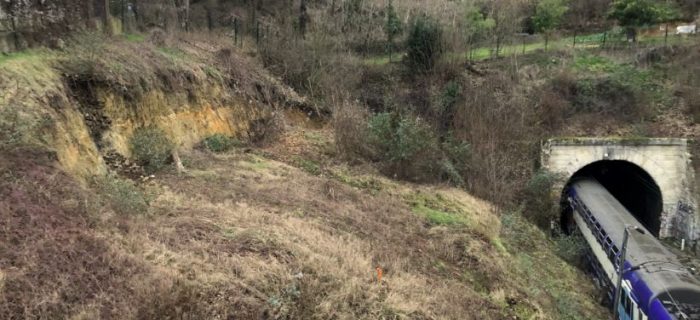 Eboulement de talus - Sèvres-Ville d'Avray